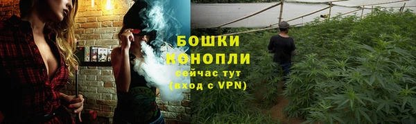 дживик Нефтекумск