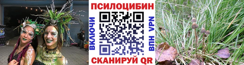 закладка  hydra ССЫЛКА  Галлюциногенные грибы ЛСД  Усолье-Сибирское 