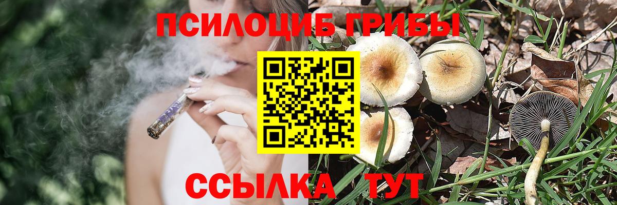 Усолье-Сибирское  Псилоцибиновые грибы GOLDEN TEACHER  Вход с VPN 